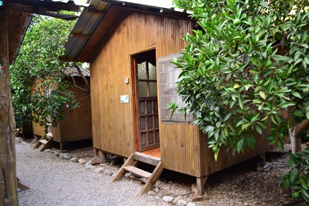 Olympos Yakamoz Pansiyon Zimmer foto