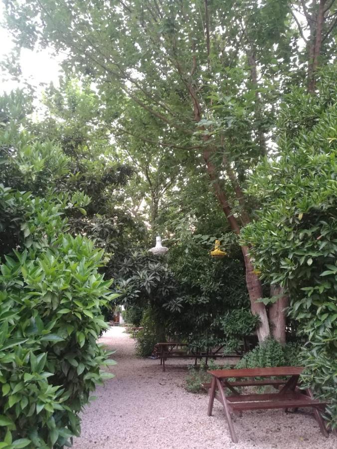 Olympos Yakamoz Pansiyon Exterior foto